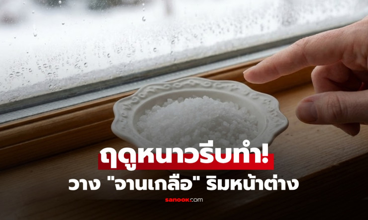ทำไมกูรูแนะให้วางจานเกลือไว้ริมหน้าต่างในช่วงหน้าหนาว ต้องรู้แล้วรีบทำตาม!